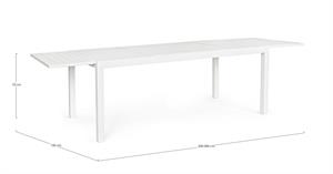 TAV.ALL.HILDE B.CO 200-300X1