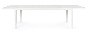 TAV.ALL.HILDE B.CO 200-300X1