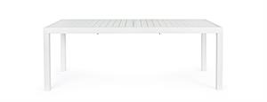 TAV.ALL.HILDE B.CO 200-300X1
