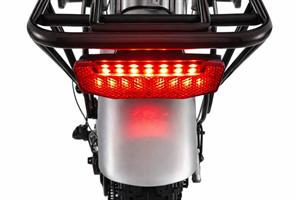 FAT BIKE PIEGH.20 250W SILV