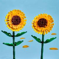 BOUQUET FIORI GIRASOLI 40524
