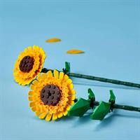 BOUQUET FIORI GIRASOLI 40524