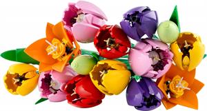 FLOWERS BOUQUET TULIPANI 115