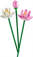 FLOWERS FIORI DI LOTO