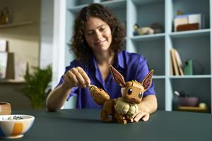 POKEMON EEVEE
