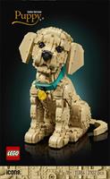 ICONS CUCCIOLO GOLDEN RETRIE