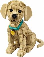 ICONS CUCCIOLO GOLDEN RETRIE