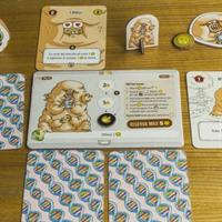 GIOCO TAV BARBASCURA X EVOLV