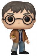 PERS.HARRY POTTER
