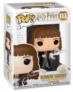 PERS.HARRY POTTER HERMIONE