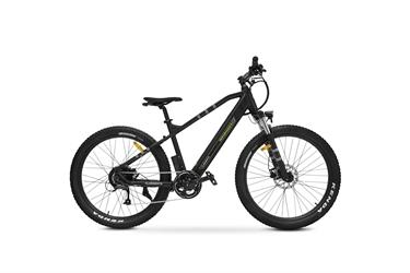 MOUNTAIN E-BIKE PERFOMAN VER