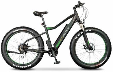 E-BIKE ARGENTO ELEPHANT +