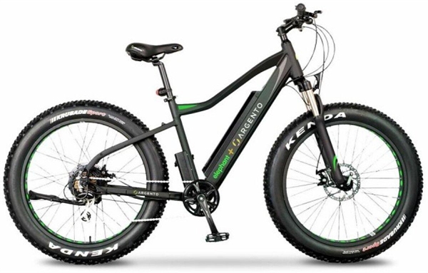 E-BIKE ARGENTO ELEPHANT +