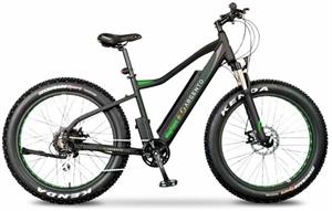 E-BIKE ARGENTO ELEPHANT +