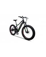E-BIKE ARGENTO ELEPHANT +
