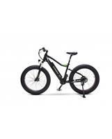 E-BIKE ARGENTO ELEPHANT +