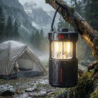 ER-LANTERN CASSA BT E TORCIA