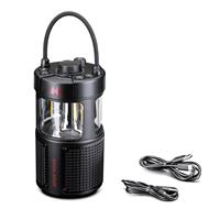 ER-LANTERN CASSA BT E TORCIA