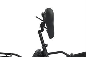 VIVO FAT BIKE VF21-BLACK 20'