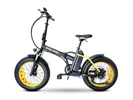 ARGENTO MINIMAX YGOLD MY2025