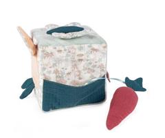 CUBO ATTIVIT? AZZURRO