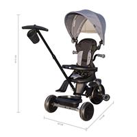 TRICYCLE ELITE PLATIN 6IN1 G
