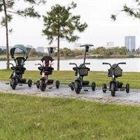 TRICYCLE ELITE PLATIN 6IN1 G