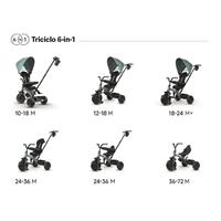 TRICYCLE ELITE PLATIN 6IN1 G