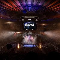 EA SPORTS UFC 6