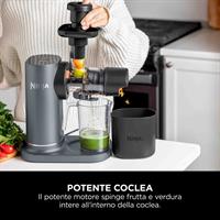 ESTR.SUCCO A FREDDO NINJA C.