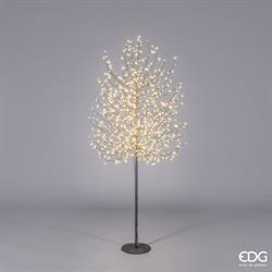 FAGGIO C/900LED(TRONC)H180 D