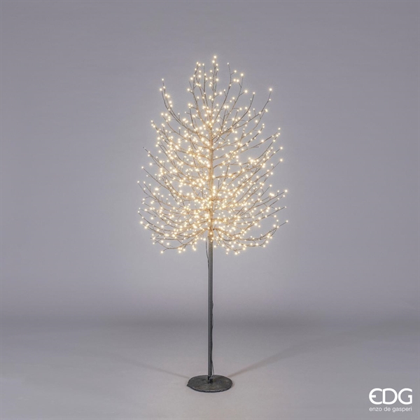 FAGGIO C/900LED(TRONC)H180 D