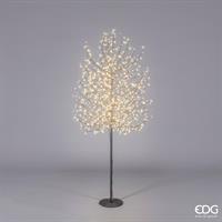 FAGGIO C/900LED(TRONC)H180 D