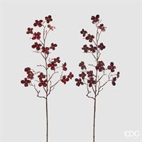 CORNUS GLOSY RAMO H85 C5