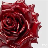 ROSA GLOSSY CLIP D16C6 BURGU