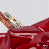 ROSA GLOSSY CLIP D16C6 BURGU
