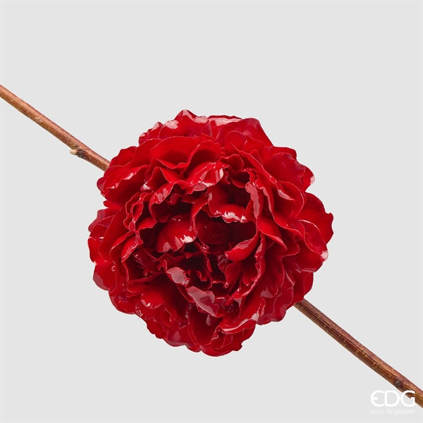 PEONIA GLOSSY CLIP D17 C6 RE