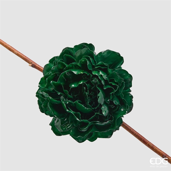 PEONIA GLOSSY CLIP D17 C6 GR