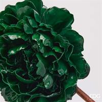 PEONIA GLOSSY CLIP D17 C6 GR