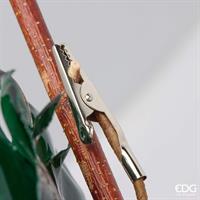 PEONIA GLOSSY CLIP D17 C6 GR