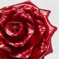 ROSA GLOSSY RAMO H65D25C6 BU