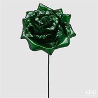 ROSA GLOSSY RAMO H65D25C6 GR