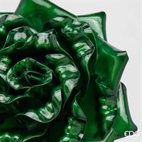 ROSA GLOSSY RAMO H65D25C6 GR