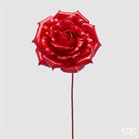 ROSA GLOSSY RAMO H60D20C6 RE