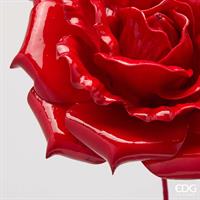 ROSA GLOSSY RAMO H60D20C6 RE