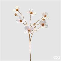 CORNUS GAMBO-ORO RAMO H72 C6