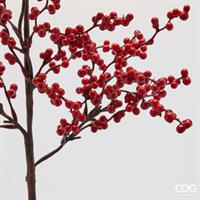 ILEX RAMO H80 C5 RED