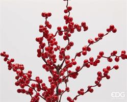 ILEX RAMO H80 C5 RED