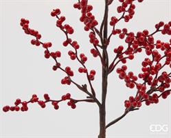 ILEX RAMO H80 C5 RED
