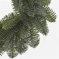 CORONA PINO NOBILIS WEST D38